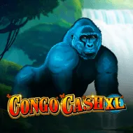 Congo Cash XL