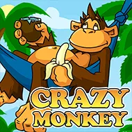 Crazy Monkey