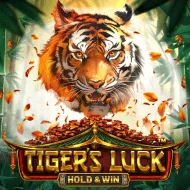 Tiger's Luck - Hold & Win